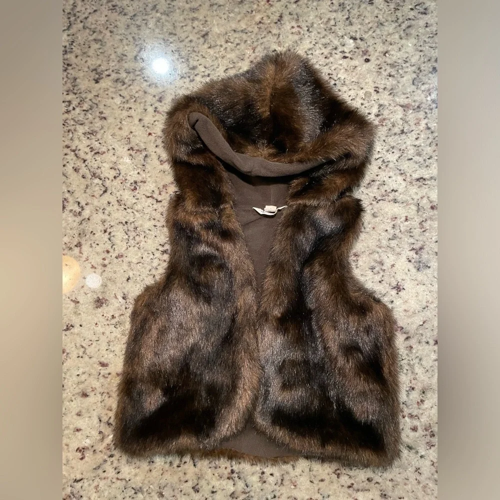 Toddler Gap dress and tights and lands end faux fur hooded vest 4T retail $132